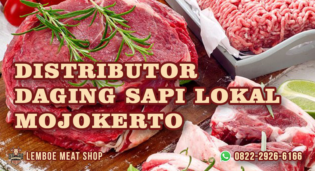 Distributor Daging Sapi Lokal Mojokerto