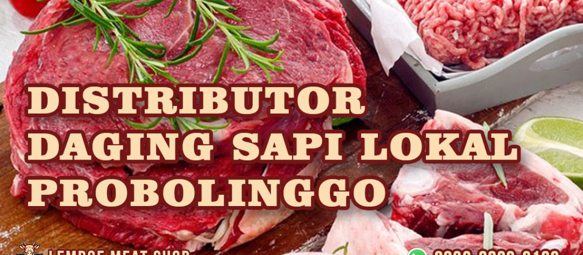 DISTRIBUTOR DAGING SAPI LOKAL PROBOLINGGO